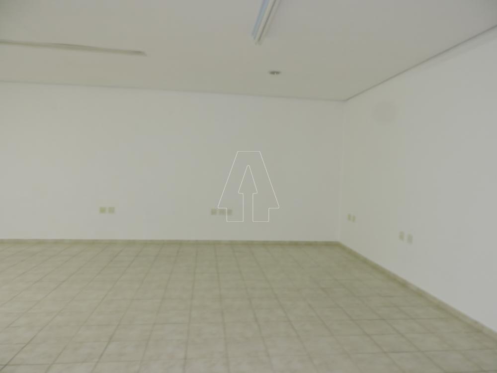 Alugar Comercial / Ponto Comercial em Araçatuba R$ 8.000,00 - Foto 18