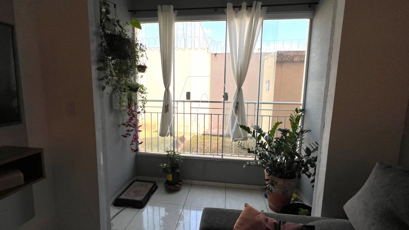 Alugar Apartamento / Padrão em Araçatuba R$ 1.100,00 - Foto 5