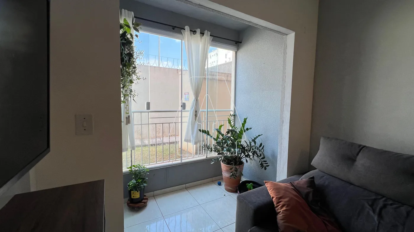 Alugar Apartamento / Padrão em Araçatuba R$ 1.100,00 - Foto 6
