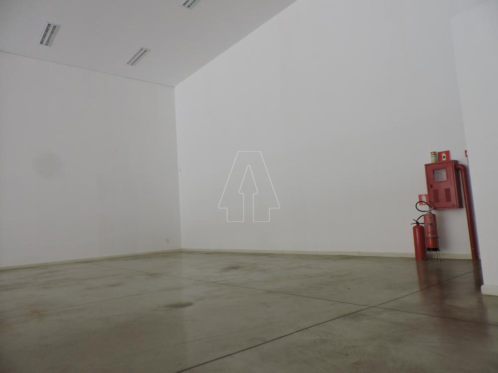 Alugar Comercial / Salão em Araçatuba R$ 20.000,00 - Foto 6