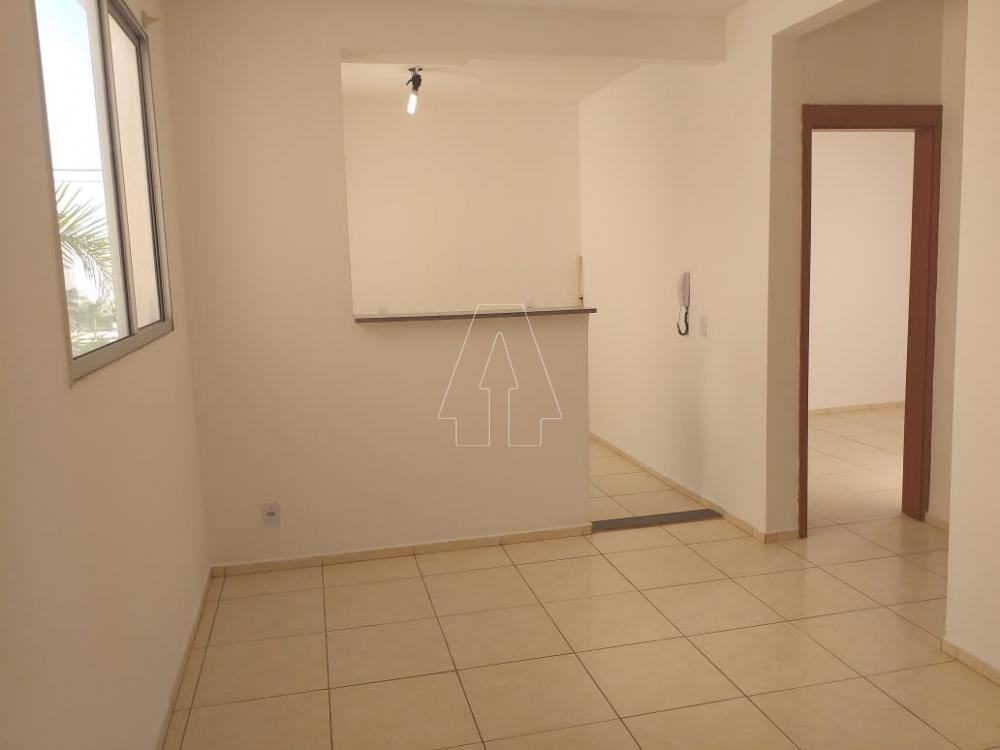 Alugar Apartamento / Padrão em Araçatuba R$ 950,00 - Foto 1