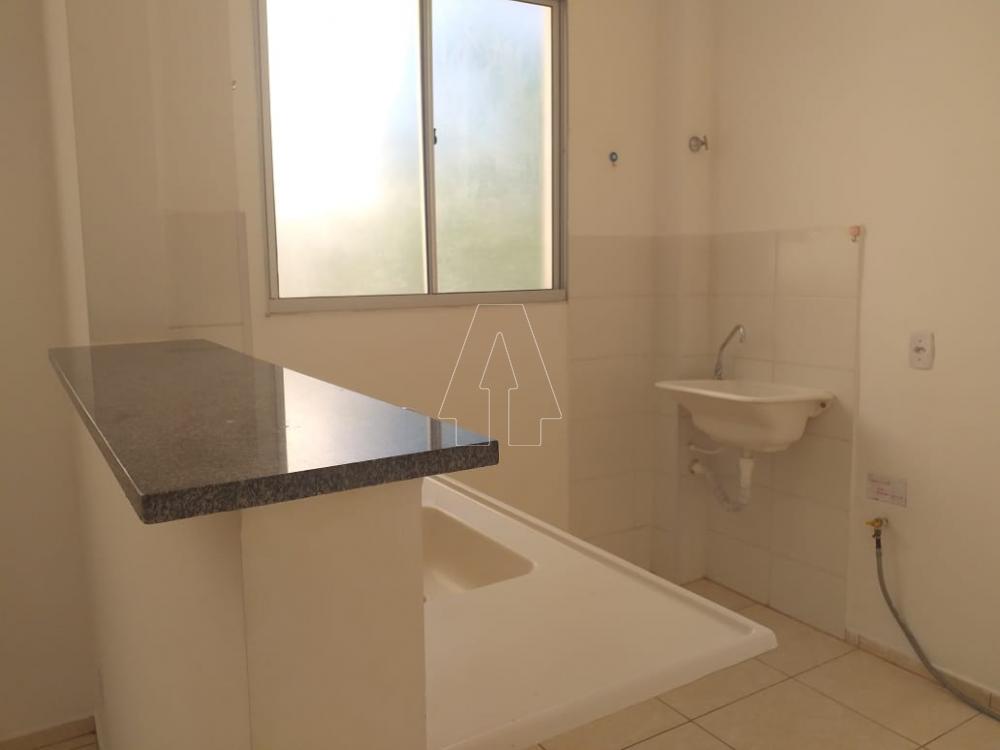 Alugar Apartamento / Padrão em Araçatuba R$ 950,00 - Foto 3