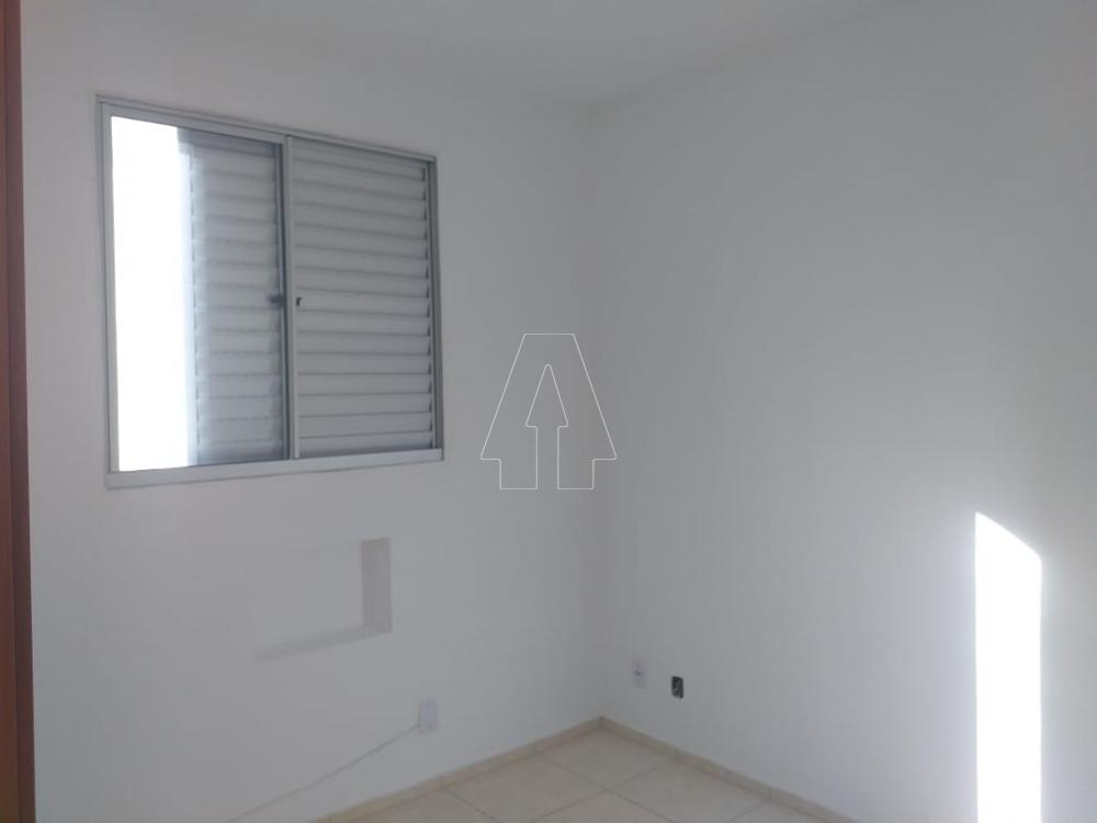 Alugar Apartamento / Padrão em Araçatuba R$ 950,00 - Foto 4