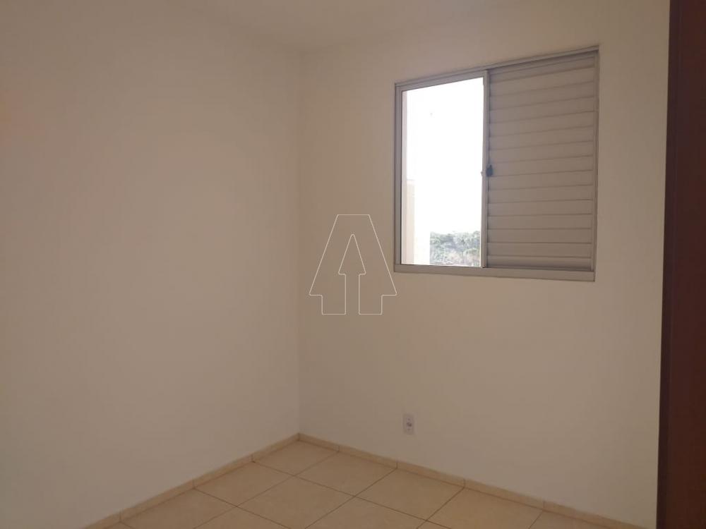 Alugar Apartamento / Padrão em Araçatuba R$ 950,00 - Foto 5