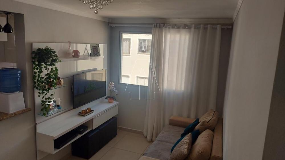 Alugar Apartamento / Padrão em Araçatuba R$ 1.300,00 - Foto 4