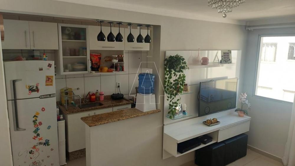 Alugar Apartamento / Padrão em Araçatuba R$ 1.300,00 - Foto 10