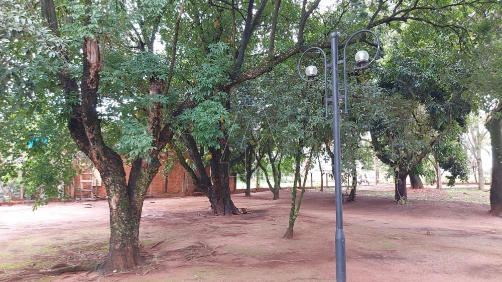 Comprar Rural / Rancho em Araçatuba R$ 2.200.000,00 - Foto 34