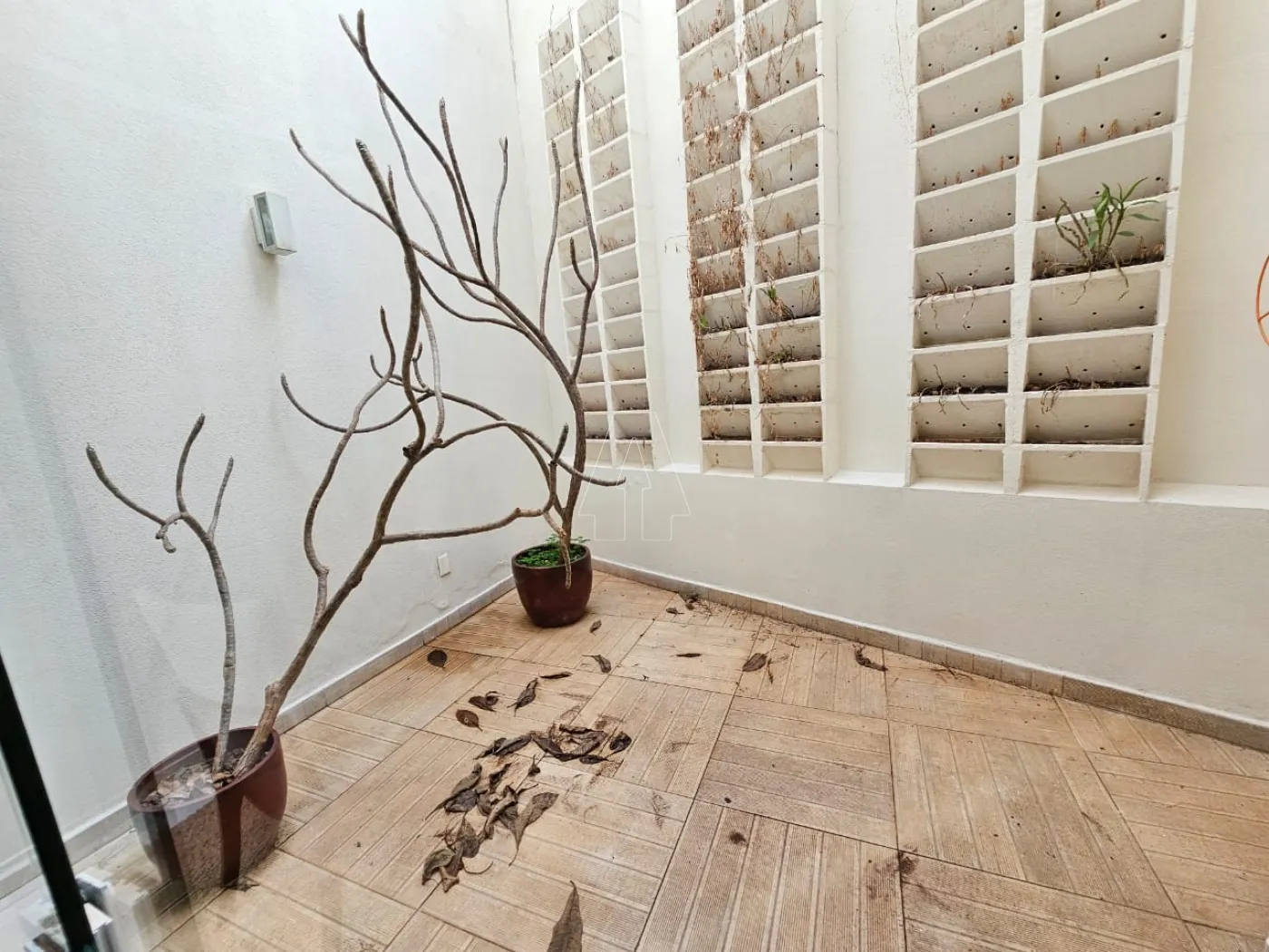 Alugar Casa / Condomínio em Araçatuba R$ 3.200,00 - Foto 5