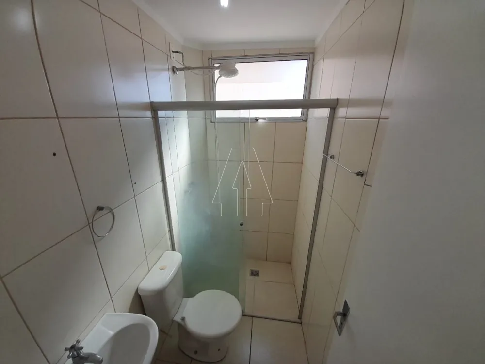 Alugar Apartamento / Padrão em Araçatuba R$ 1.000,00 - Foto 4