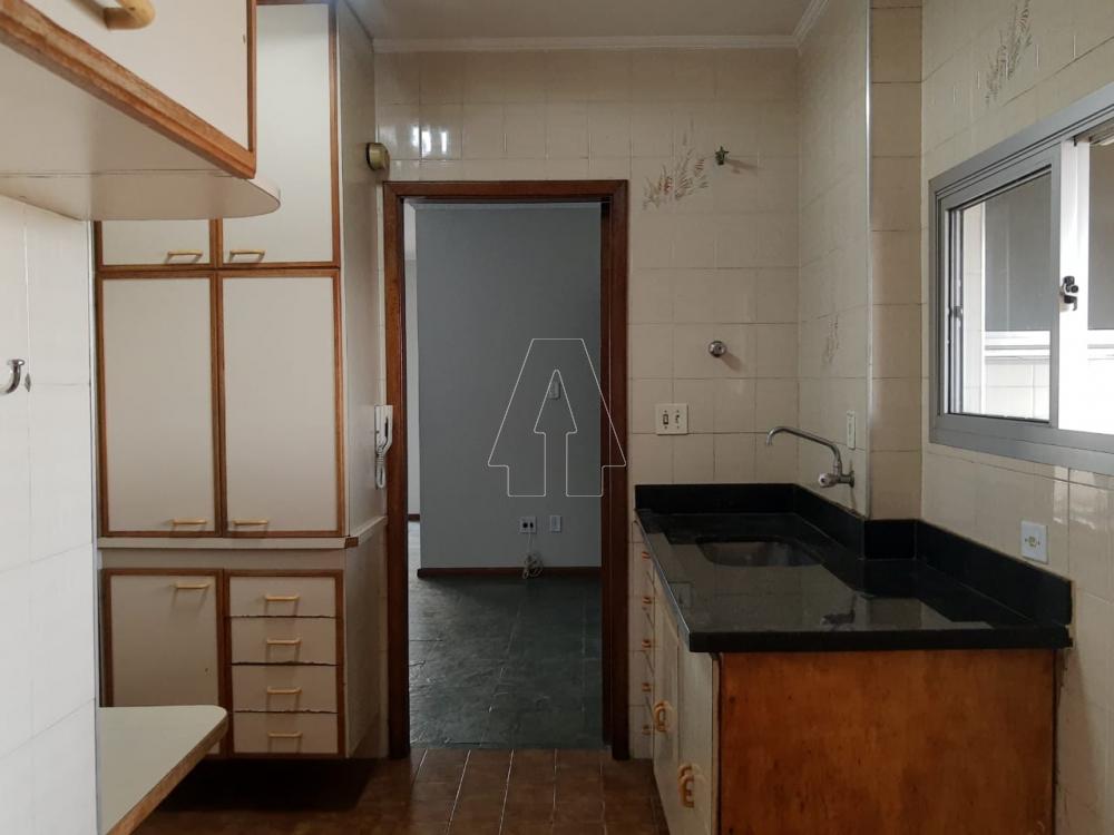 Alugar Apartamento / Padrão em Araçatuba R$ 1.600,00 - Foto 11