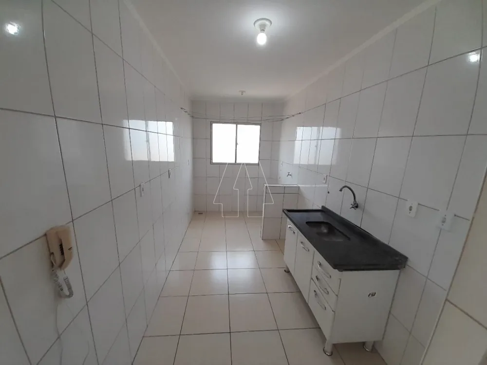 Alugar Apartamento / Padrão em Araçatuba R$ 800,00 - Foto 2