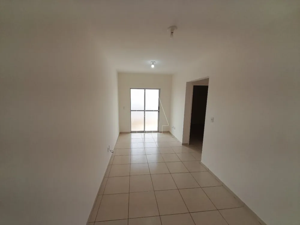 Alugar Apartamento / Padrão em Araçatuba R$ 800,00 - Foto 1