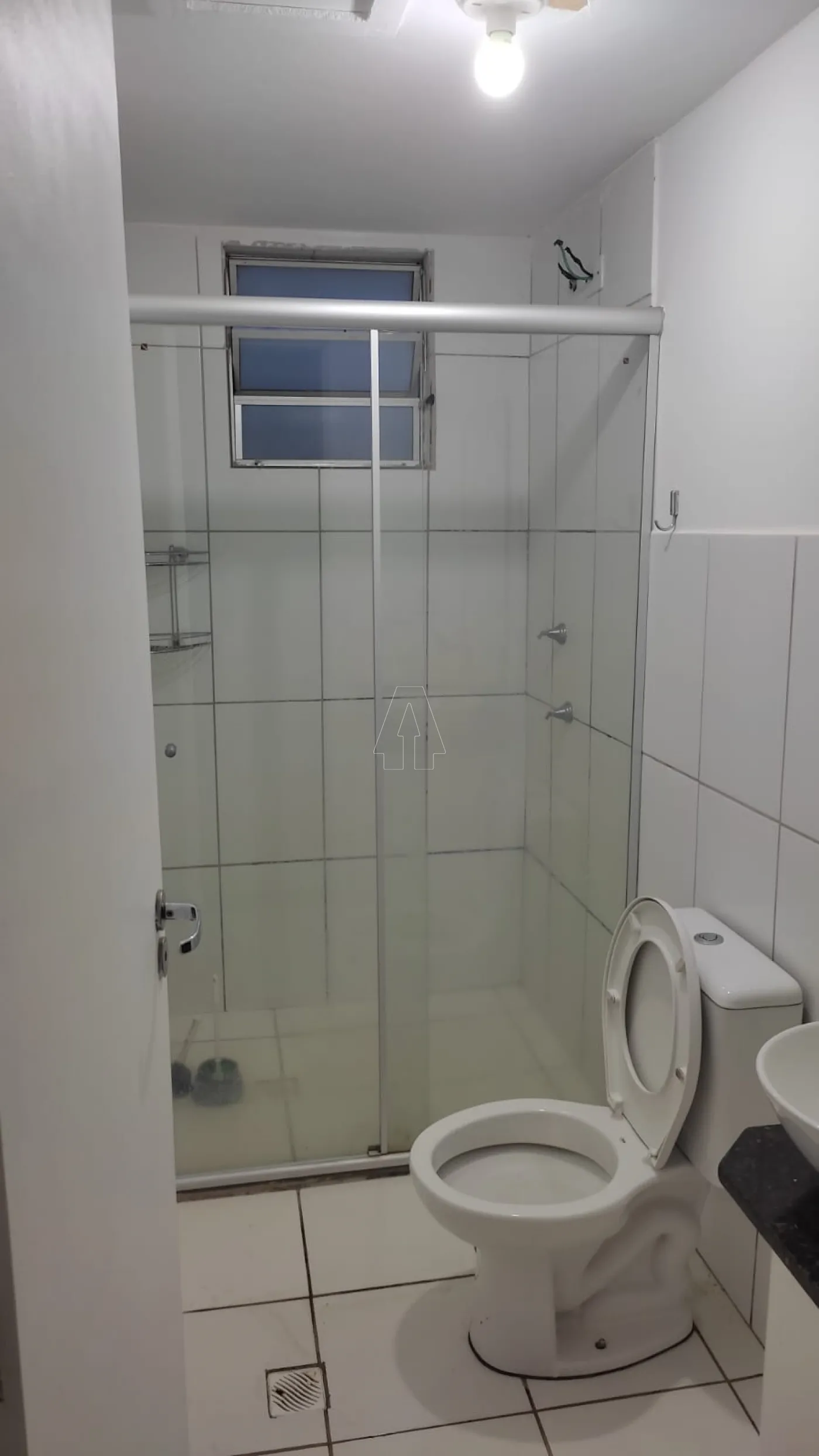 Alugar Apartamento / Padrão em Araçatuba R$ 1.200,00 - Foto 4