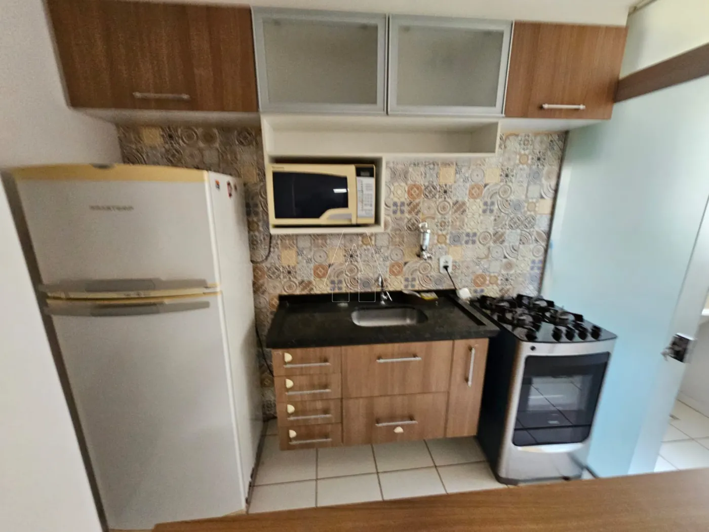 Alugar Apartamento / Padrão em Araçatuba R$ 1.280,00 - Foto 9