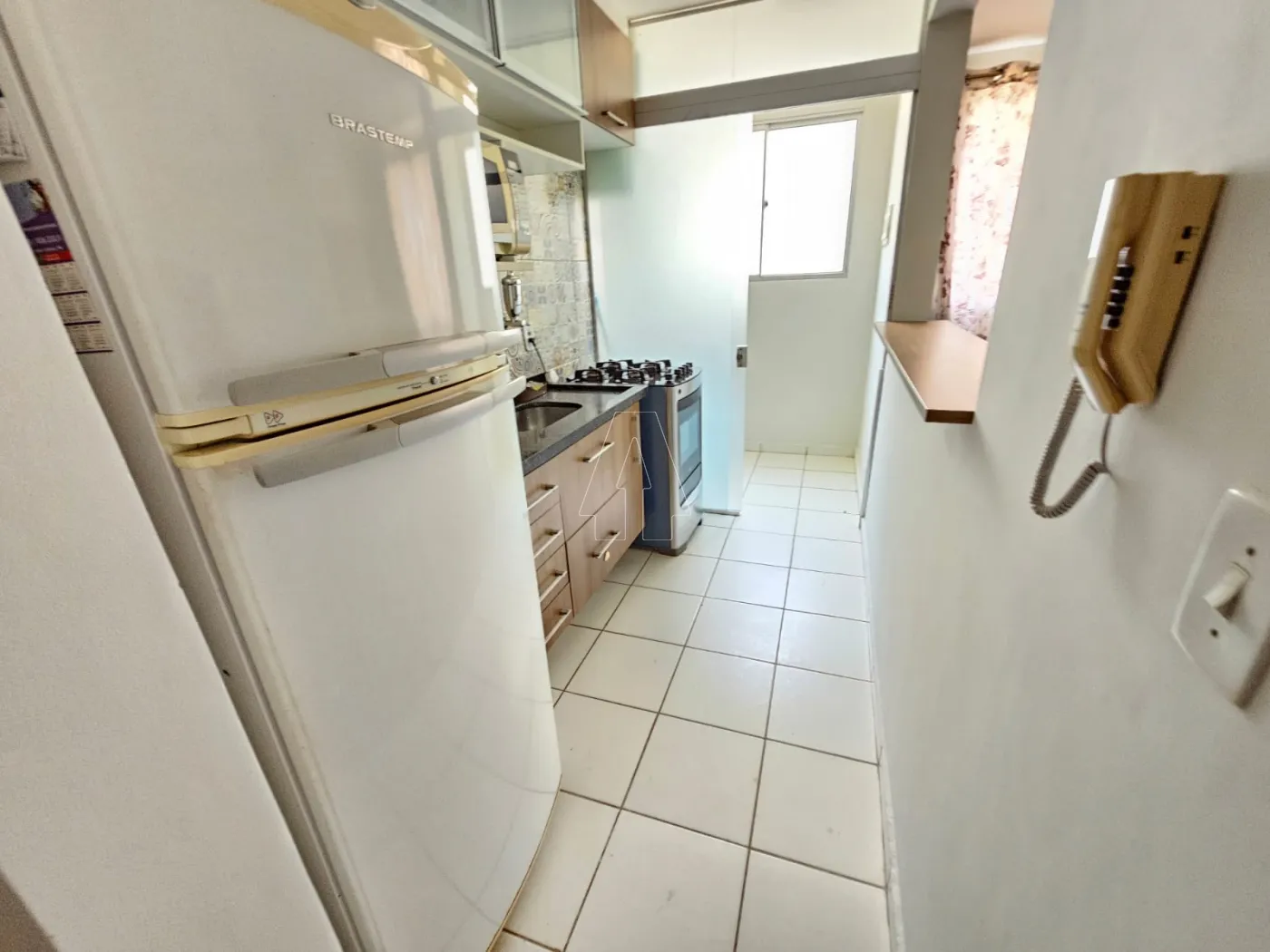 Alugar Apartamento / Padrão em Araçatuba R$ 1.280,00 - Foto 10