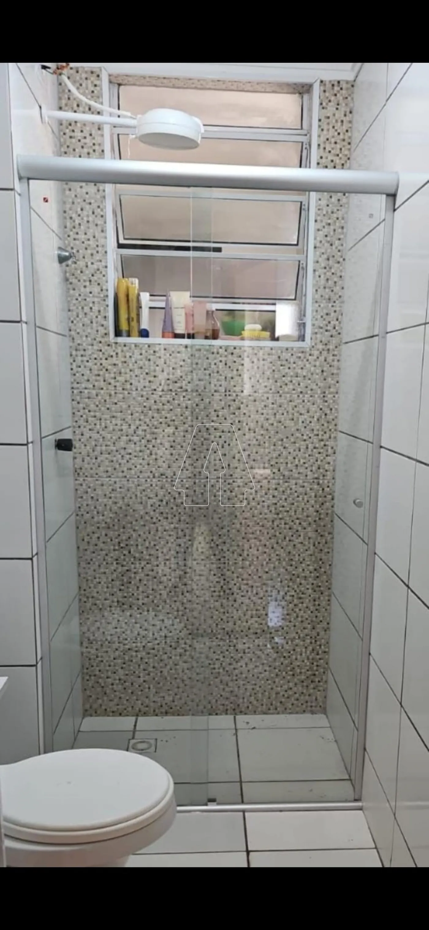 Alugar Apartamento / Padrão em Araçatuba R$ 1.250,00 - Foto 9