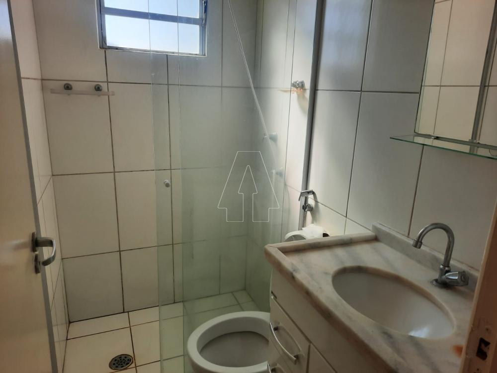 Alugar Apartamento / Padrão em Araçatuba R$ 850,00 - Foto 11