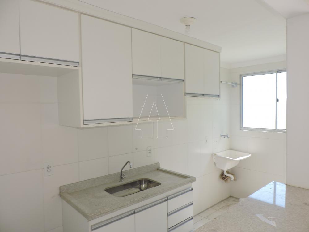 Alugar Apartamento / Padrão em Araçatuba R$ 1.500,00 - Foto 1