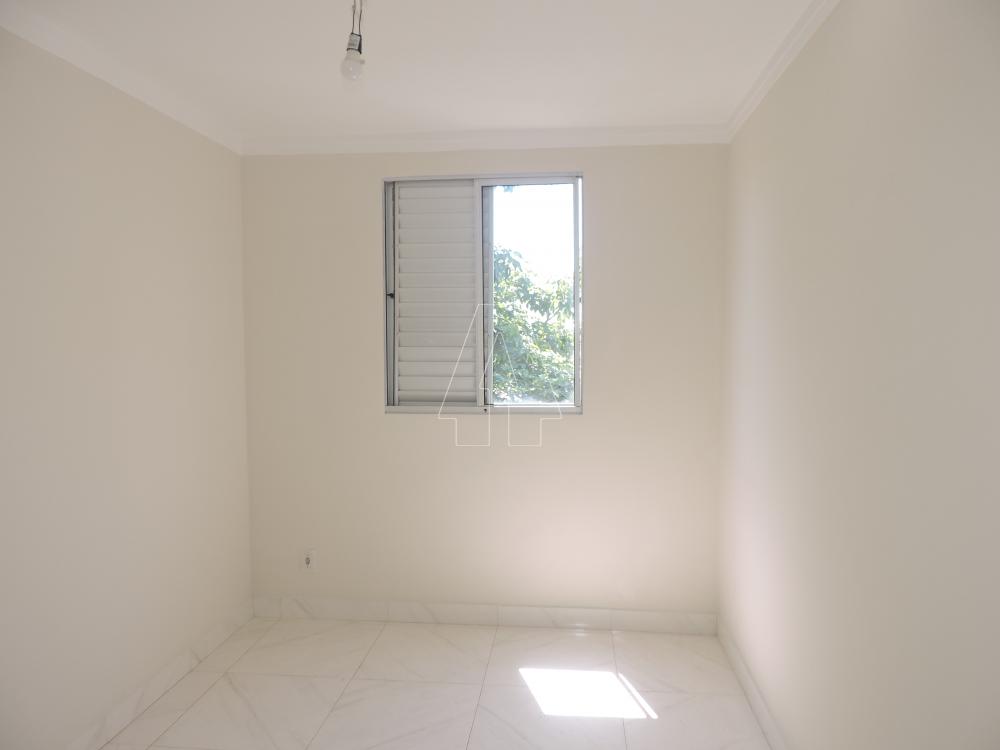 Alugar Apartamento / Padrão em Araçatuba R$ 1.500,00 - Foto 2