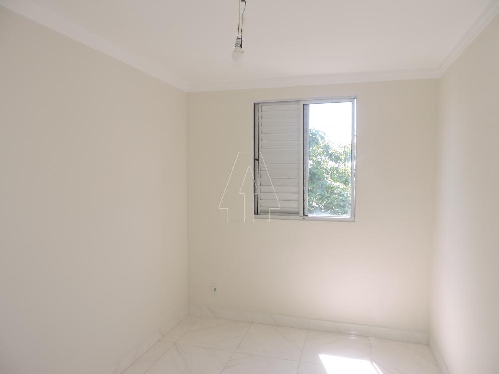 Alugar Apartamento / Padrão em Araçatuba R$ 1.500,00 - Foto 3