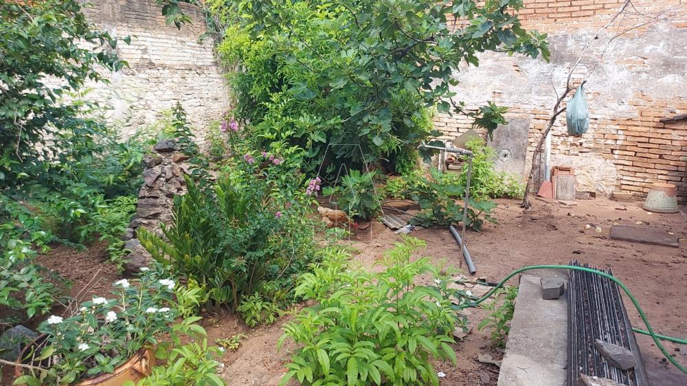 Comprar Comercial / Ponto Comercial em Araçatuba R$ 300.000,00 - Foto 8