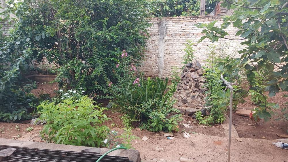 Comprar Comercial / Ponto Comercial em Araçatuba R$ 300.000,00 - Foto 9