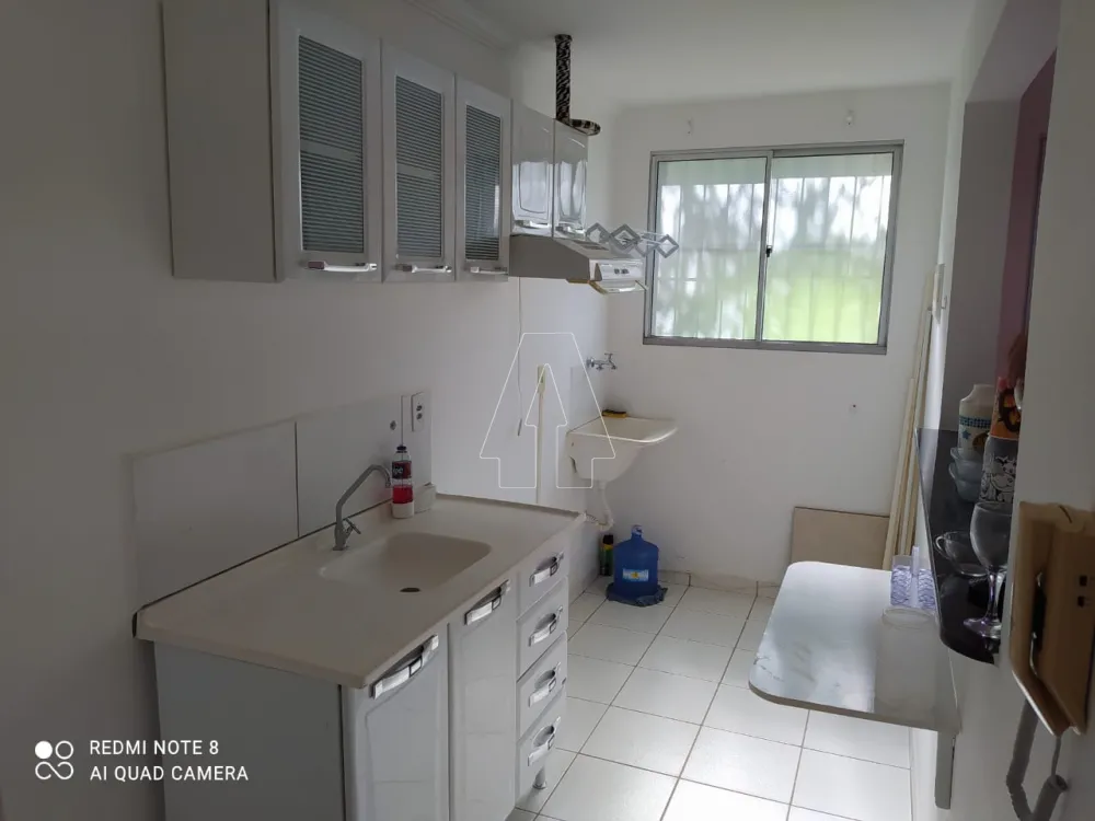 Alugar Apartamento / Padrão em Araçatuba R$ 1.300,00 - Foto 1