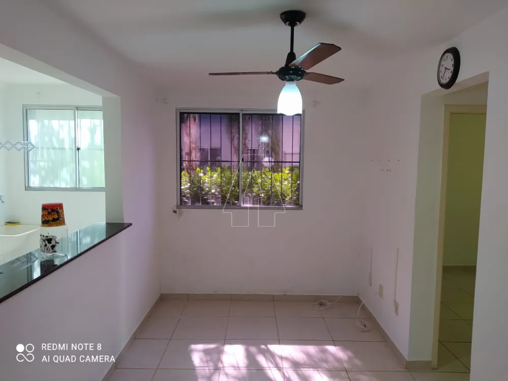 Alugar Apartamento / Padrão em Araçatuba R$ 1.300,00 - Foto 3