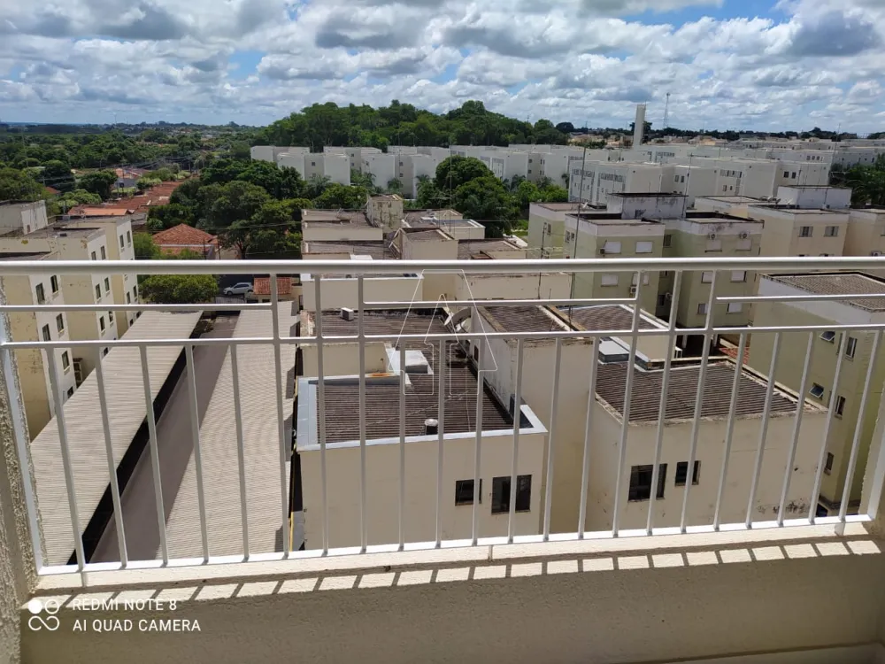 Alugar Apartamento / Padrão em Araçatuba R$ 1.100,00 - Foto 3