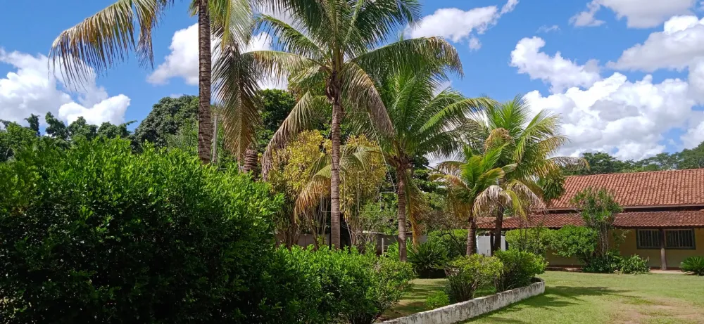 Comprar Rural / Chácara em Araçatuba R$ 1.220.000,00 - Foto 4