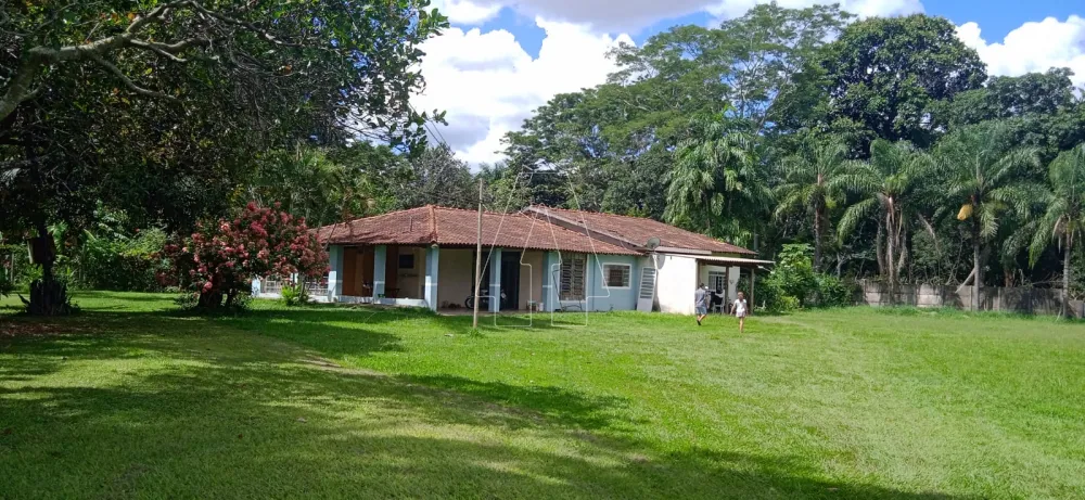 Comprar Rural / Chácara em Araçatuba R$ 1.220.000,00 - Foto 7