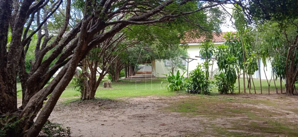 Comprar Rural / Chácara em Araçatuba R$ 1.220.000,00 - Foto 8