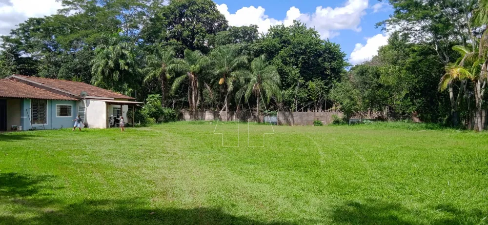 Comprar Rural / Chácara em Araçatuba R$ 1.220.000,00 - Foto 9