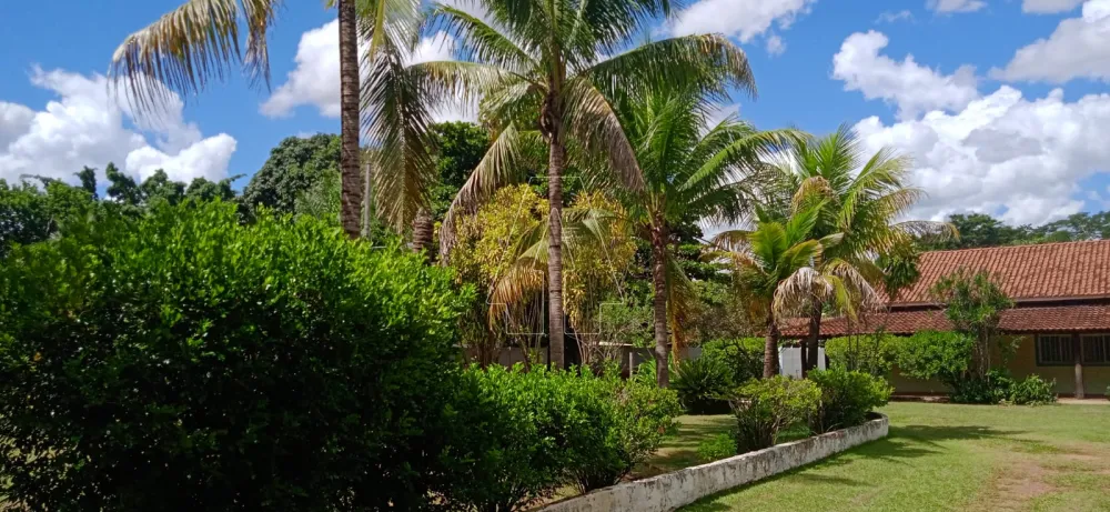 Comprar Rural / Chácara em Araçatuba R$ 1.220.000,00 - Foto 11