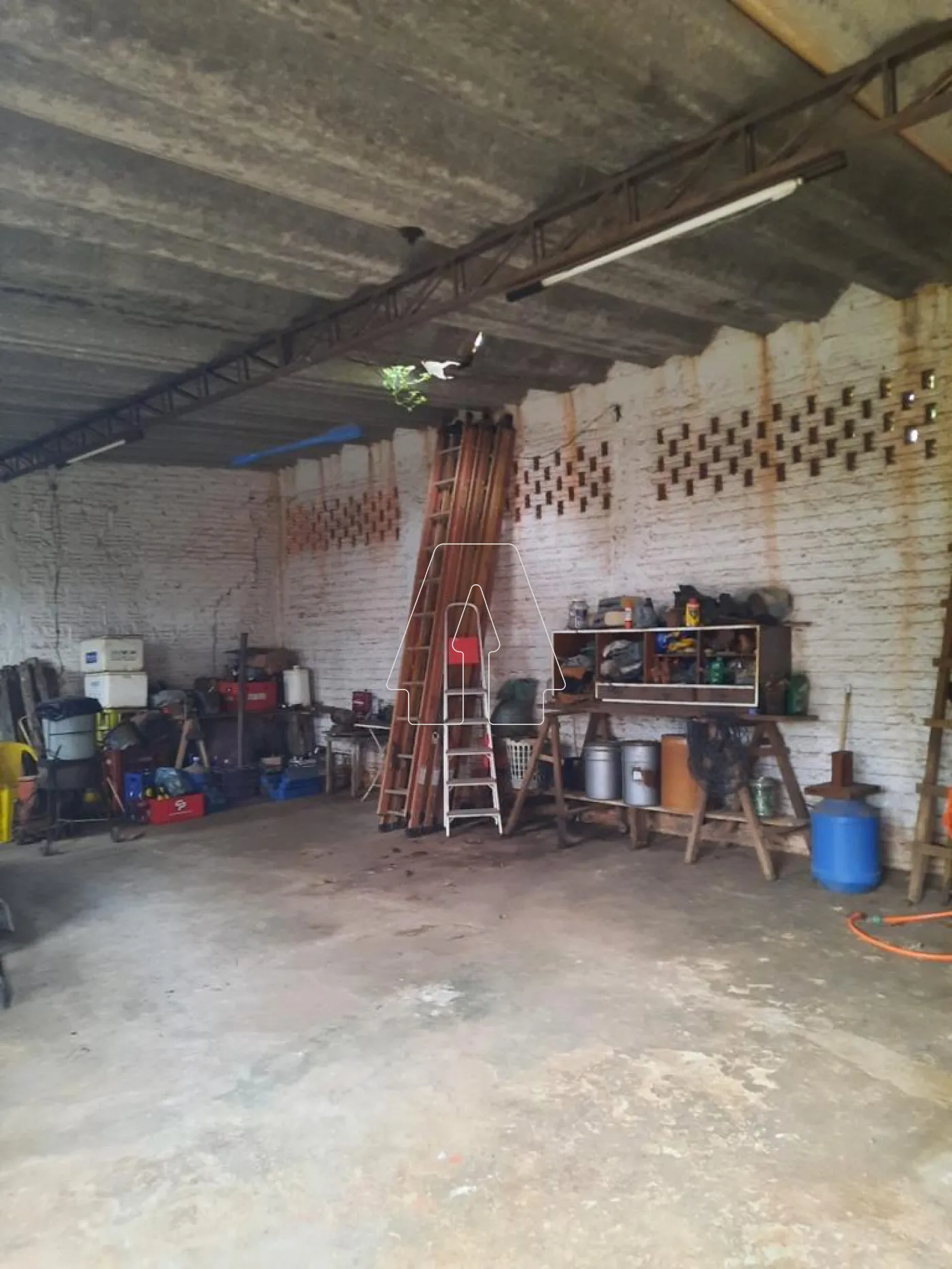 Comprar Rural / Chácara em ARAÇATUBA R$ 350.000,00 - Foto 11