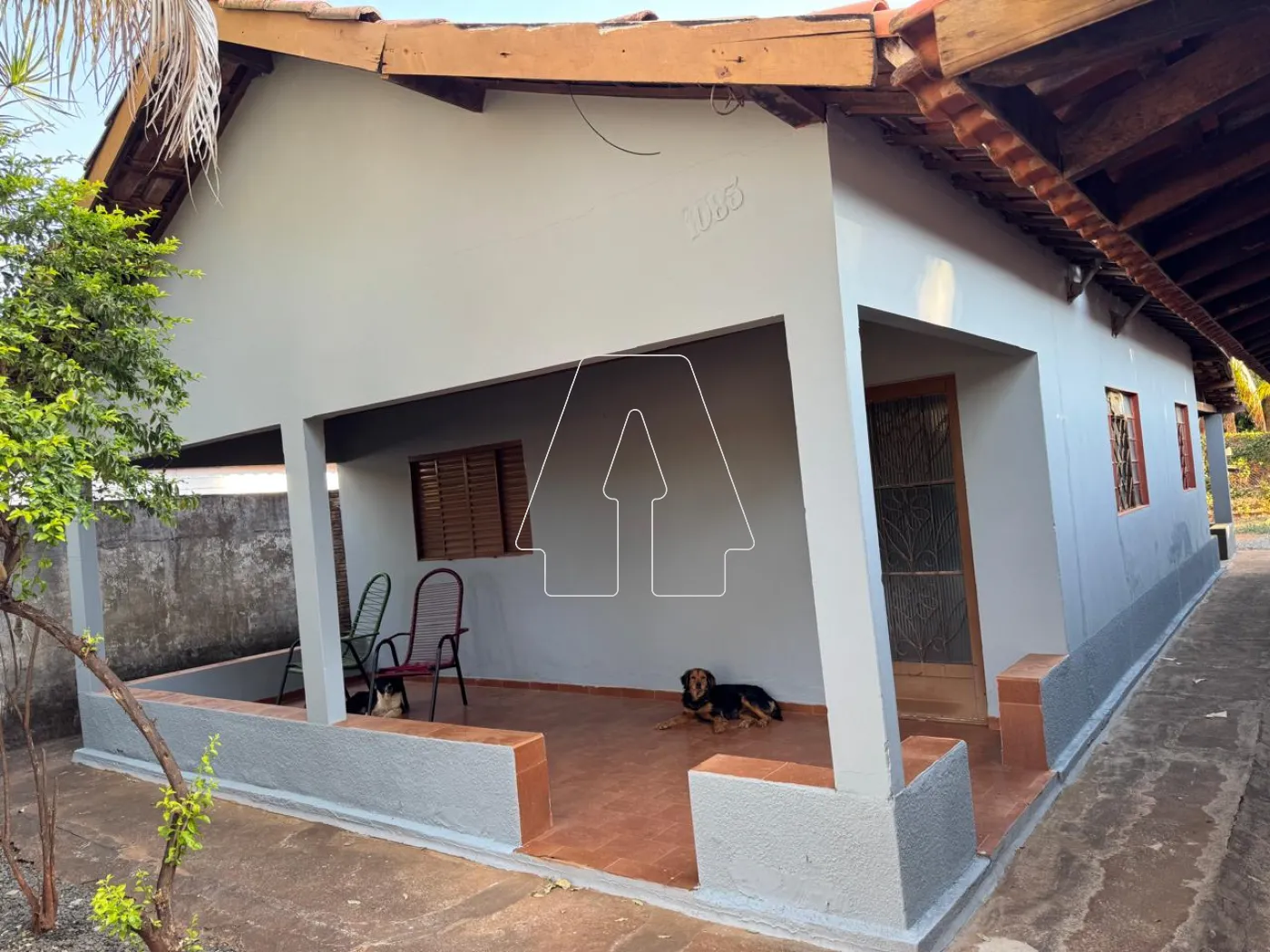 Comprar Rural / Chácara em ARAÇATUBA R$ 350.000,00 - Foto 1