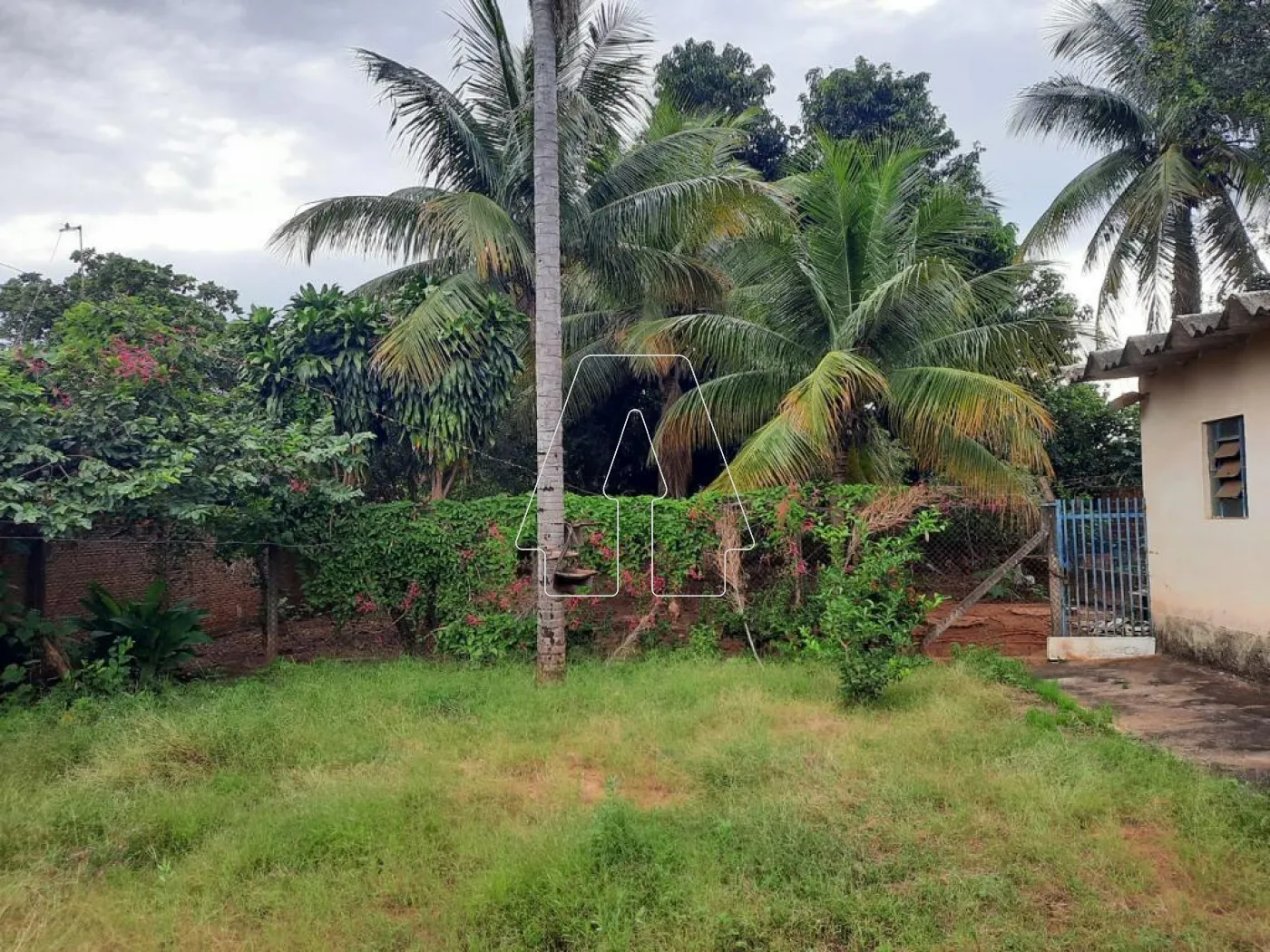 Comprar Rural / Chácara em ARAÇATUBA R$ 350.000,00 - Foto 14