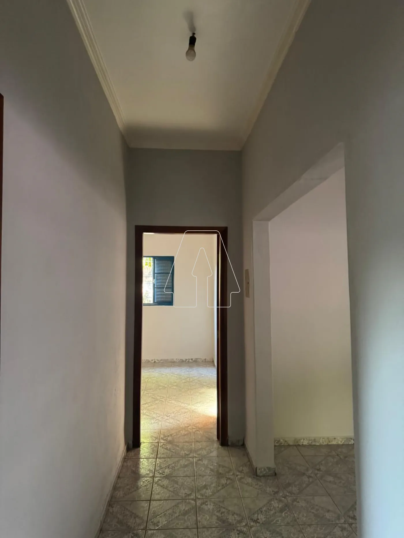 Comprar Rural / Chácara em ARAÇATUBA R$ 350.000,00 - Foto 9