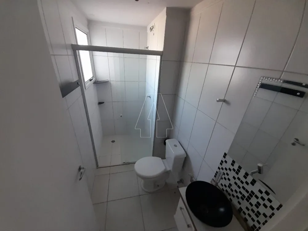 Alugar Apartamento / Padrão em Araçatuba R$ 1.100,00 - Foto 6