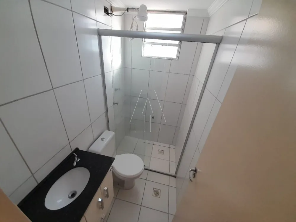 Alugar Apartamento / Padrão em Araçatuba R$ 900,00 - Foto 6