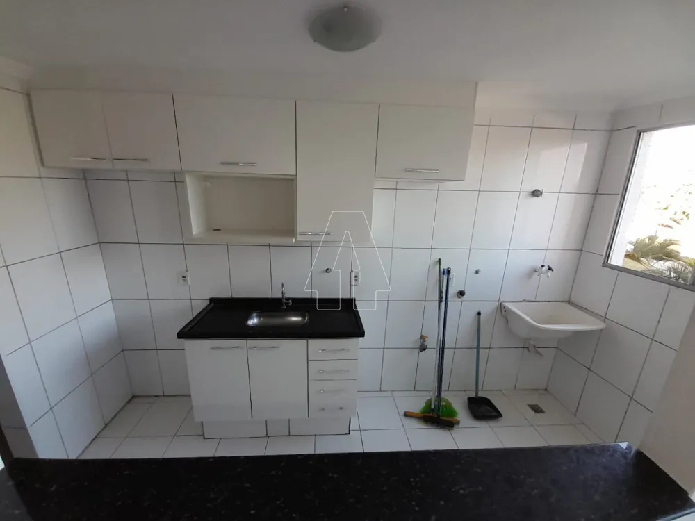 Alugar Apartamento / Padrão em Araçatuba R$ 900,00 - Foto 7