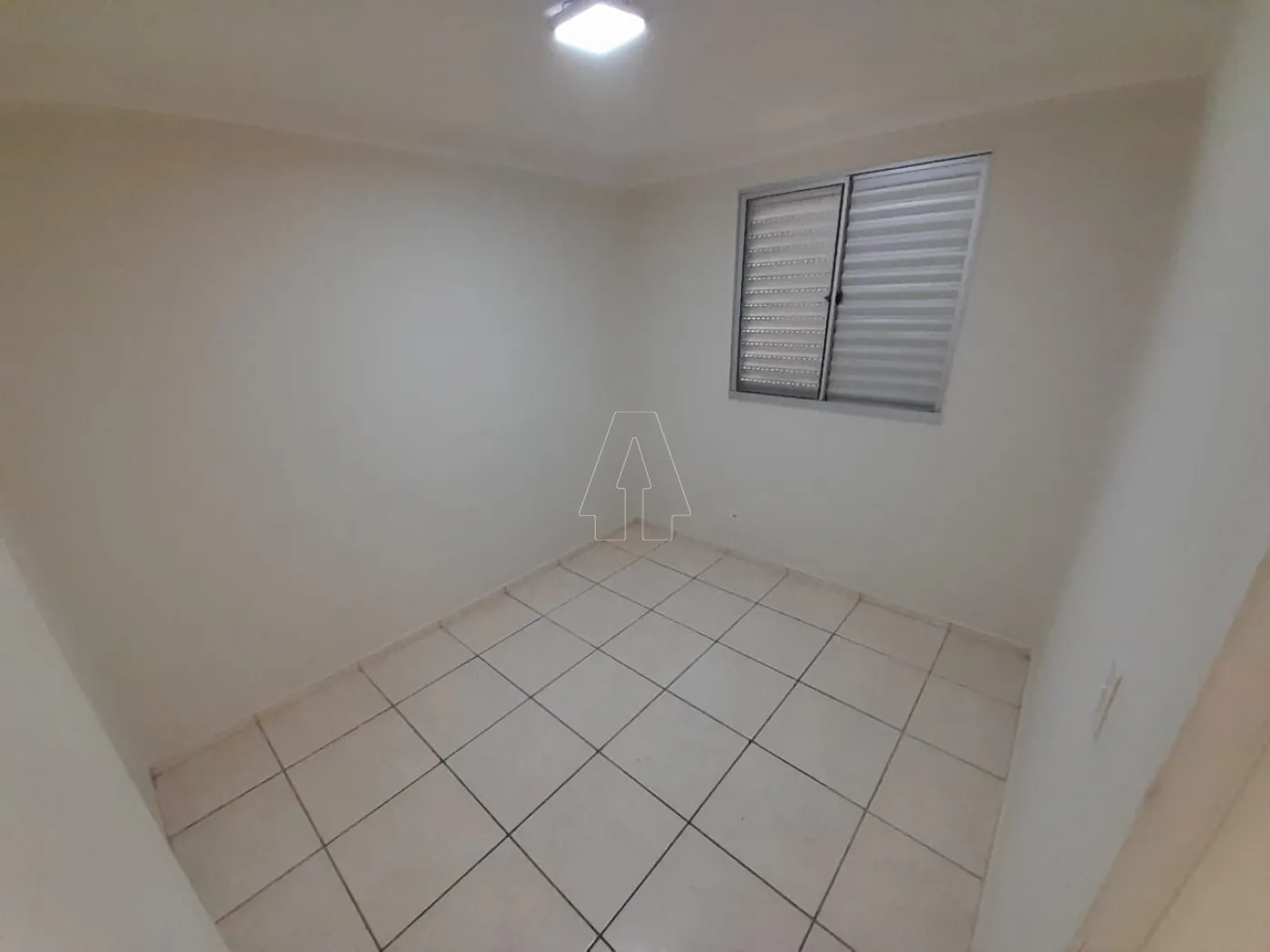 Alugar Apartamento / Padrão em Araçatuba R$ 1.050,00 - Foto 3