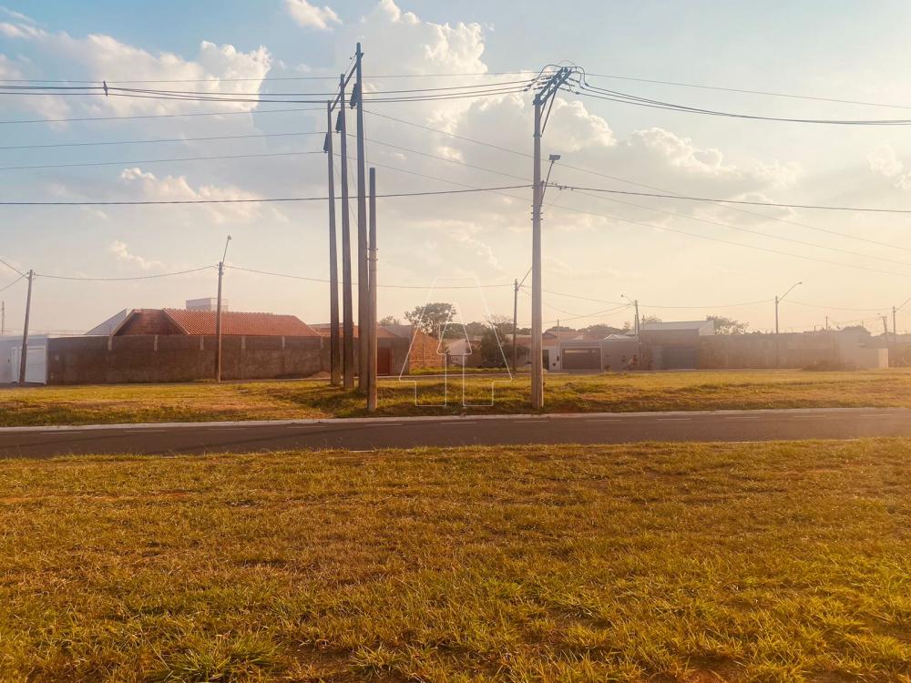Comprar Terreno / Área em Araçatuba R$ 2.895.000,00 - Foto 7