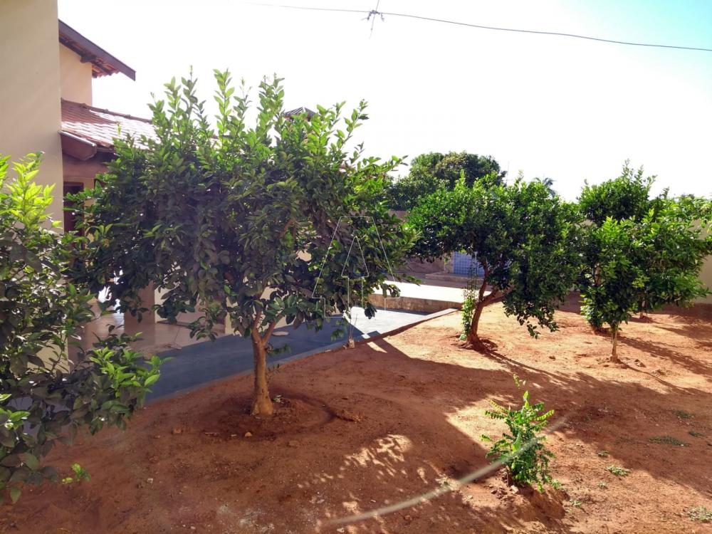 Comprar Rural / Rancho Condomínio em Santo Antônio do Aracanguá R$ 550.000,00 - Foto 10
