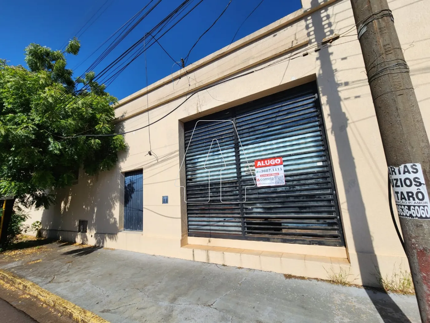 Alugar Comercial / Barracão em Araçatuba R$ 18.000,00 - Foto 2