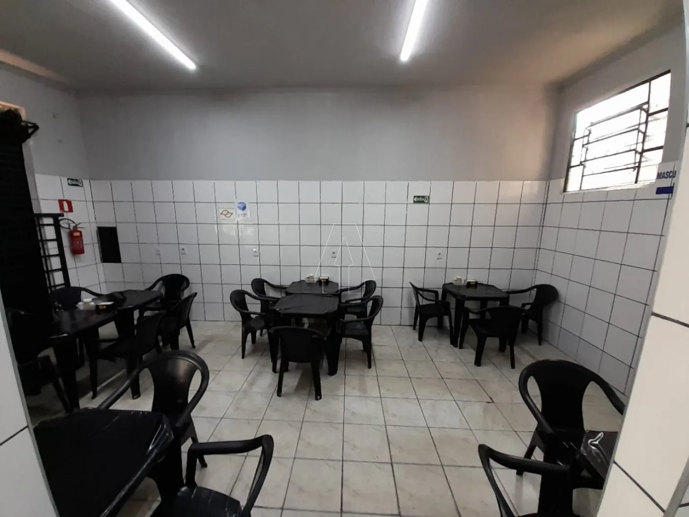 Alugar Comercial / Salão em Araçatuba R$ 2.500,00 - Foto 3