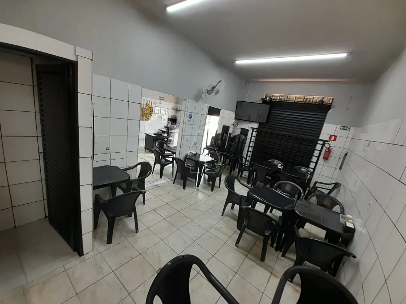 Alugar Comercial / Salão em Araçatuba R$ 2.500,00 - Foto 4