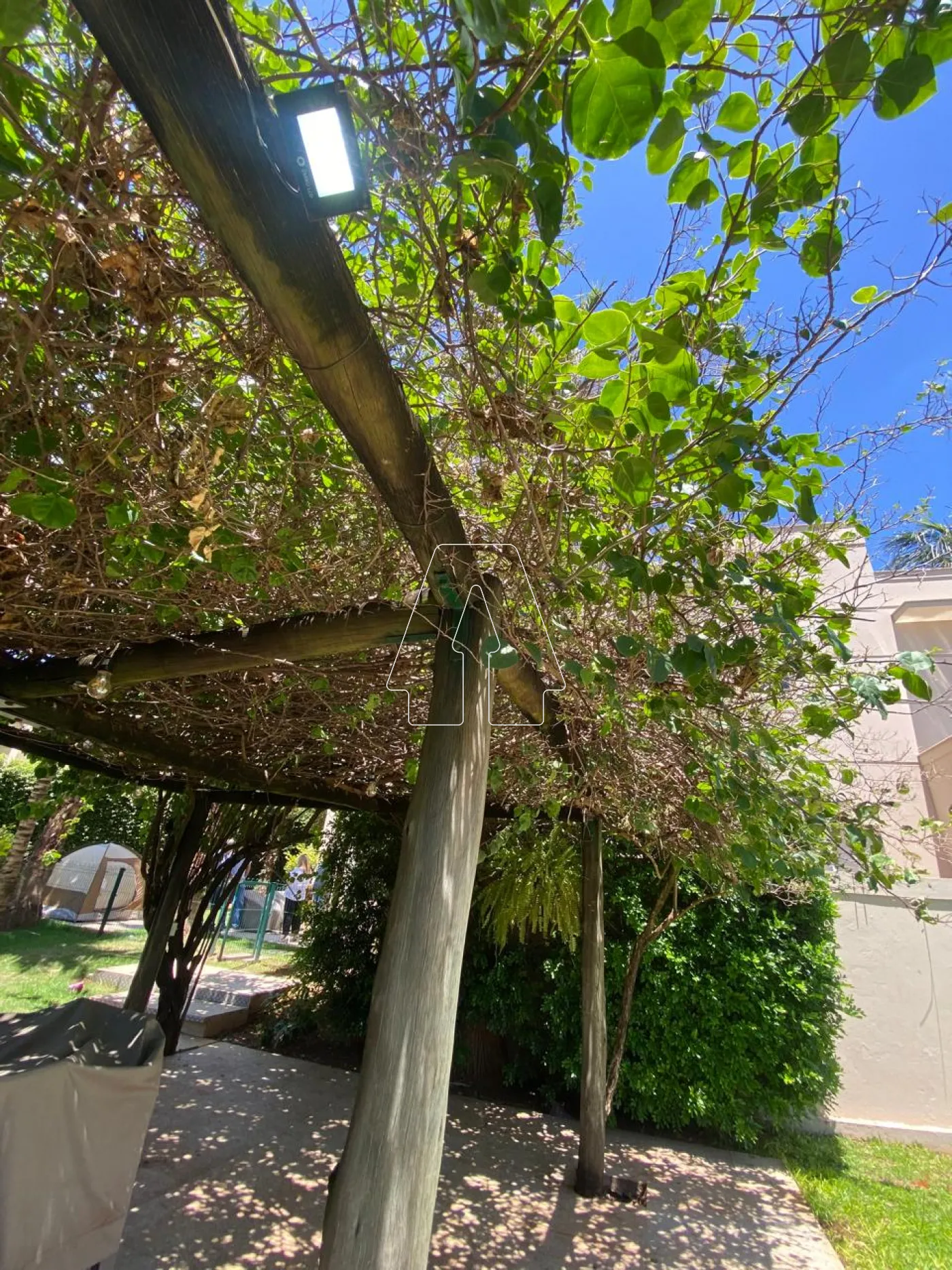 Comprar Casa / Condomínio em Araçatuba R$ 2.450.000,00 - Foto 37