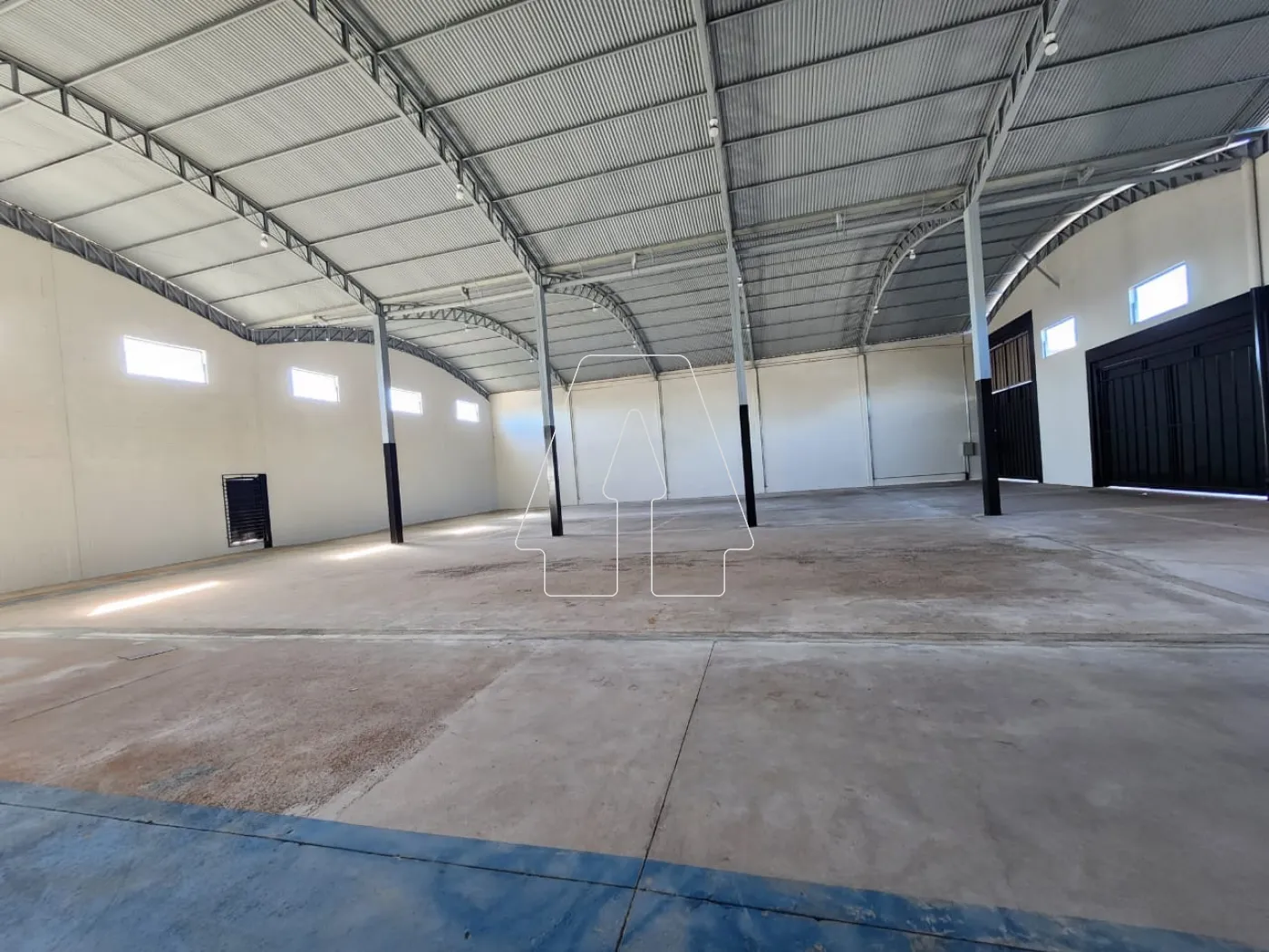Comprar Comercial / Barracão em Araçatuba - Foto 5