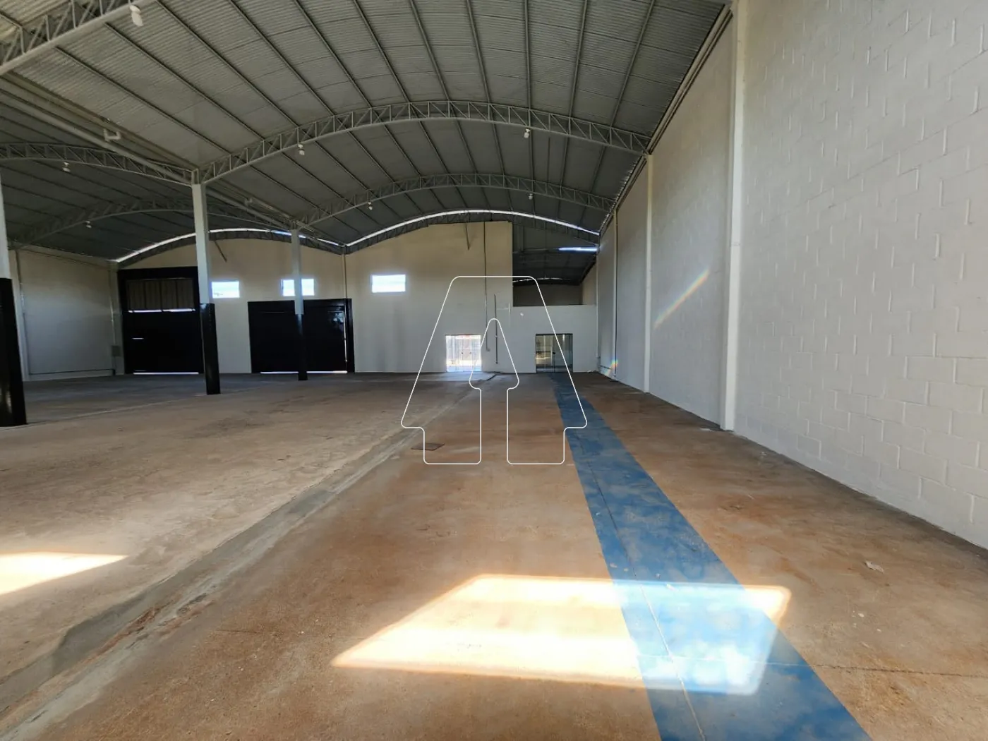 Comprar Comercial / Barracão em Araçatuba - Foto 3
